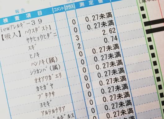 アレルギー検査結果表
