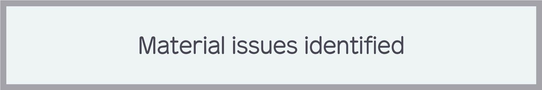 Material issues identified
