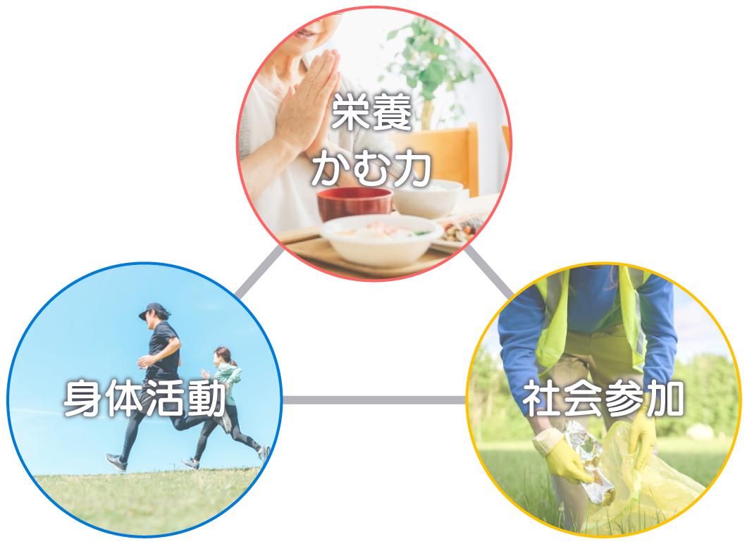 フレイル予防に欠かせない三位一体（栄養・身体活動・社会参加）を示す図